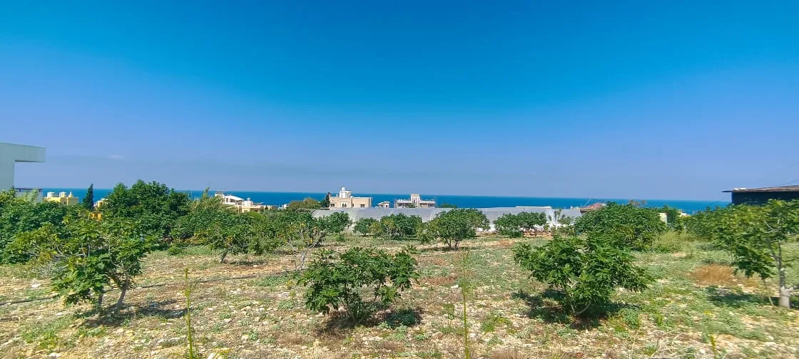Land for Rent in Batroun, Lebanon — الصورة 3