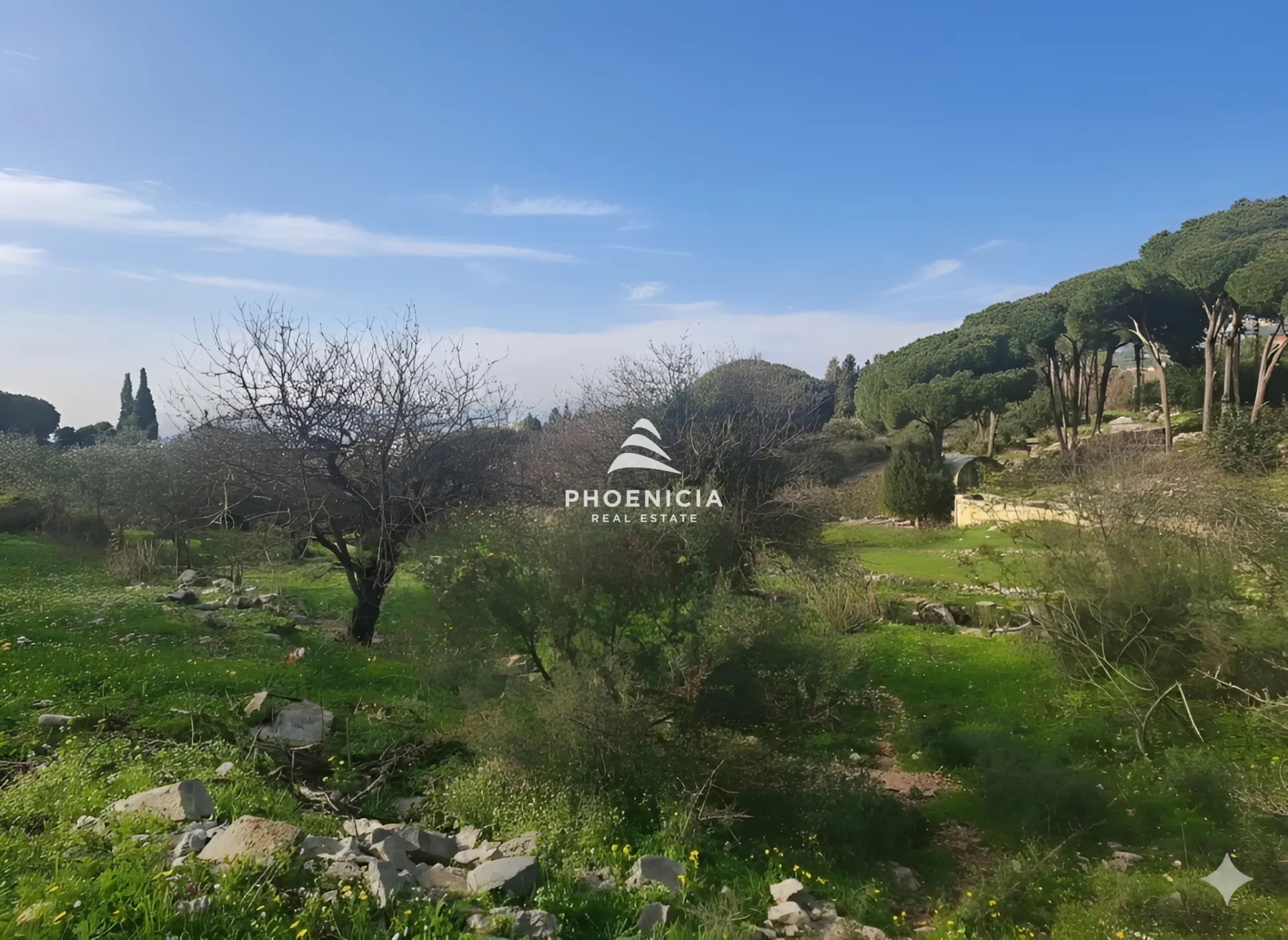 Land for Sale in Batroun — الصورة 5