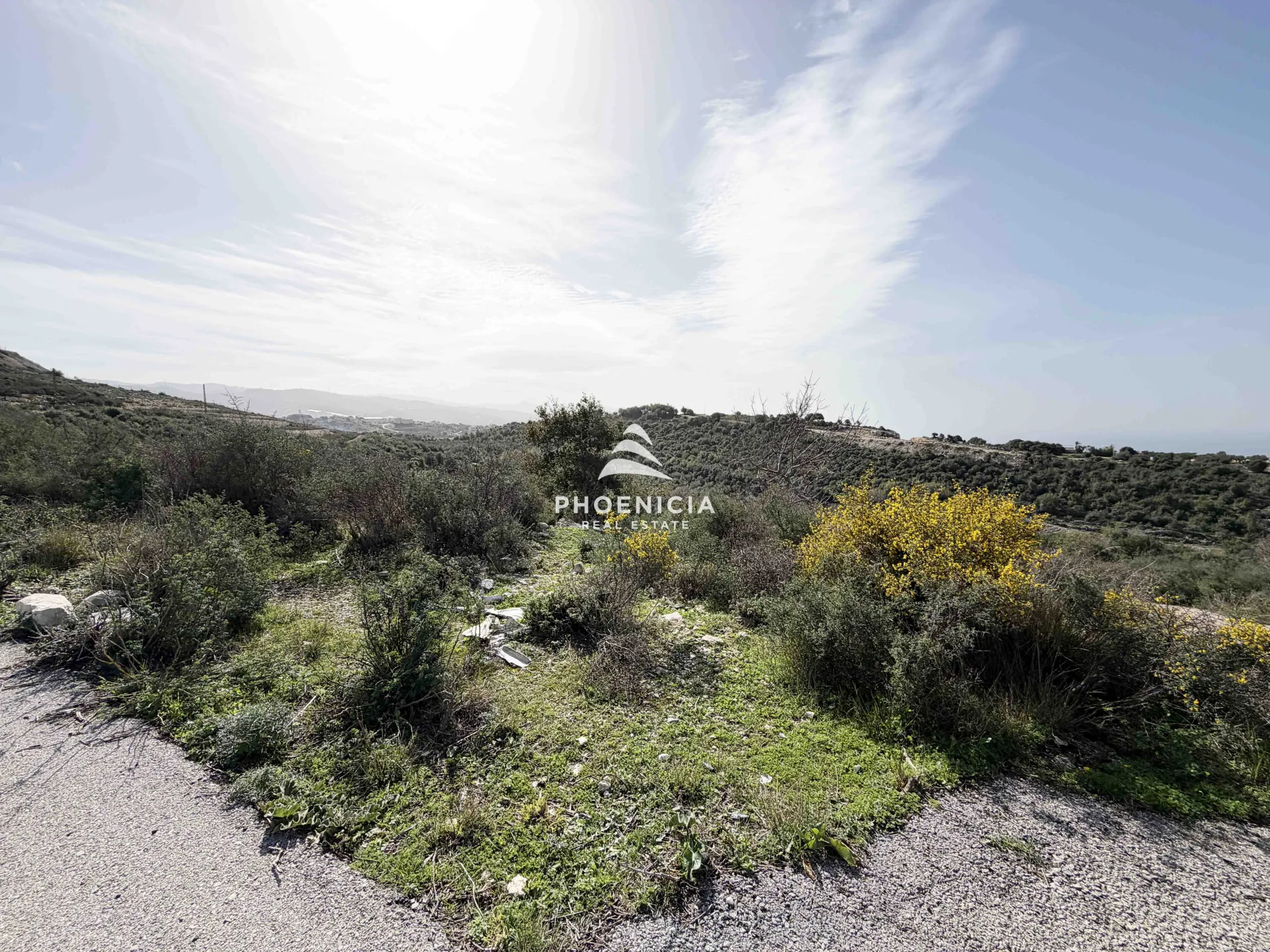 Land for Sale in Gharzouz — الصورة 5
