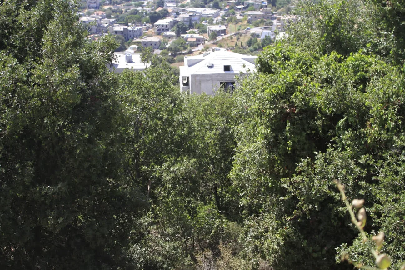 Land for Sale in Bikfaiya, Lebanon — الصورة 7