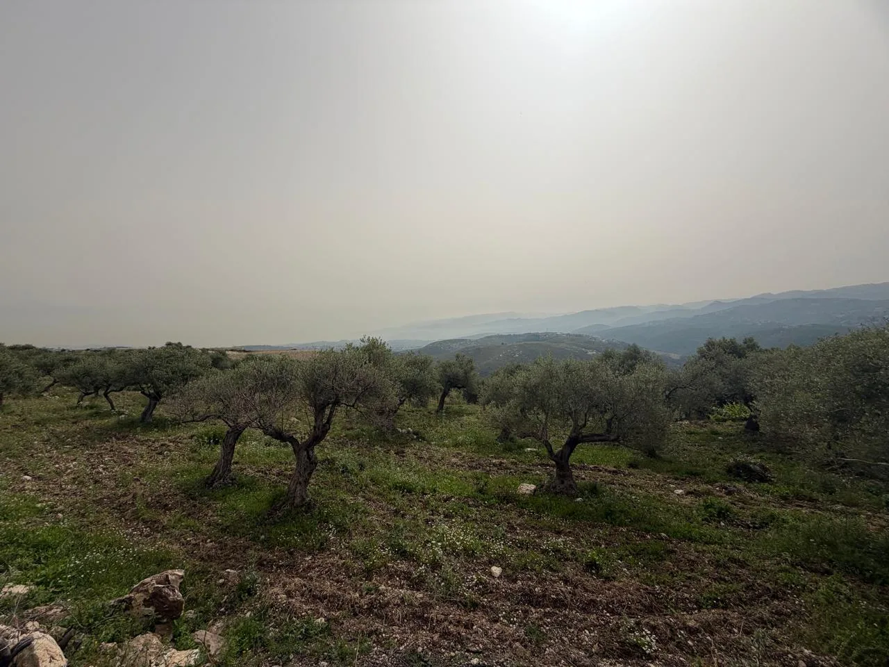 Land for Sale in Batroun — الصورة 2