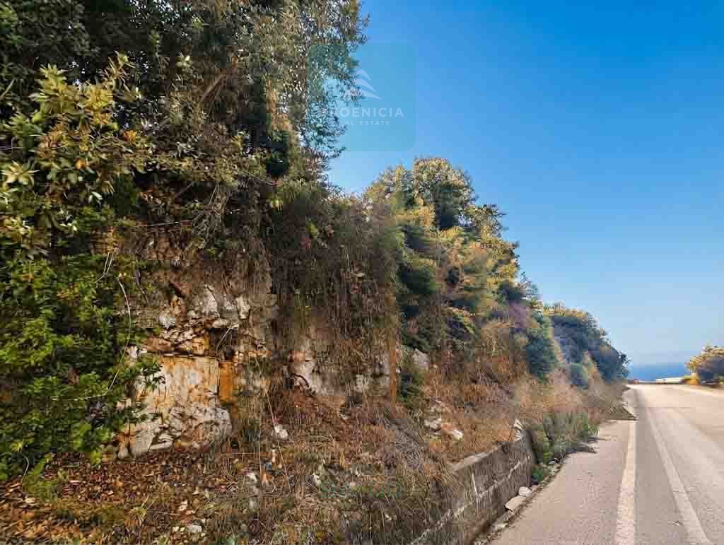 Land For Sale In Breij-Jbeil | أرض للبيع | PLS 26678 — الصورة 3