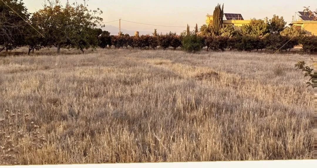 Three adjacent land plots on the Baalbeck highway, Safri, Bekaa