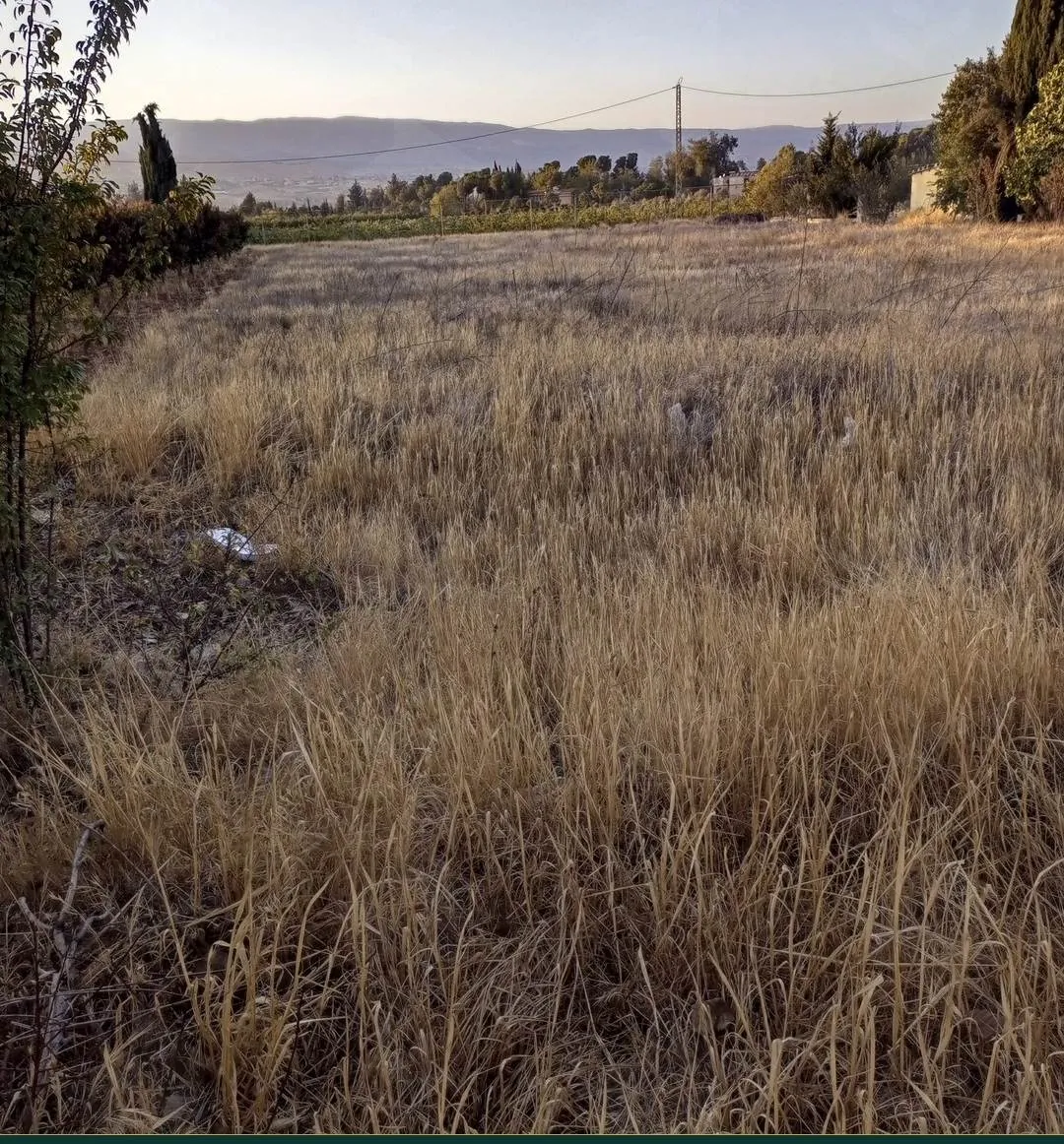 Three adjacent land plots on the Baalbeck highway, Safri, Bekaa — photo 2
