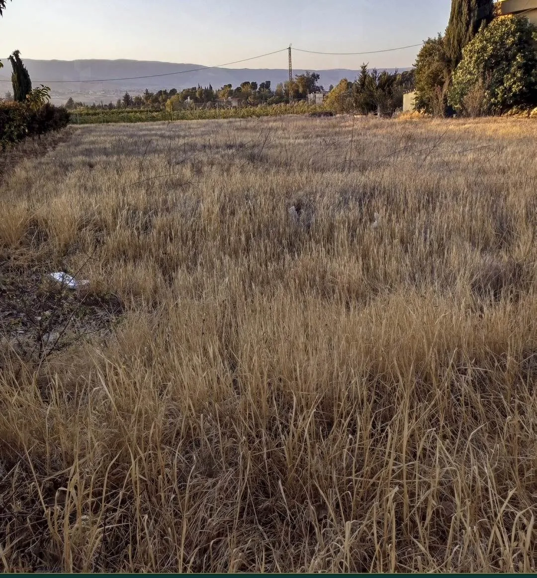 Three adjacent land plots on the Baalbeck highway, Safri, Bekaa — photo 3