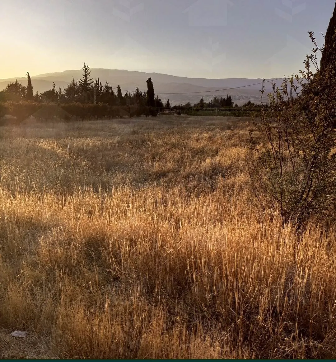 Three adjacent land plots on the Baalbeck highway, Safri, Bekaa — photo 4