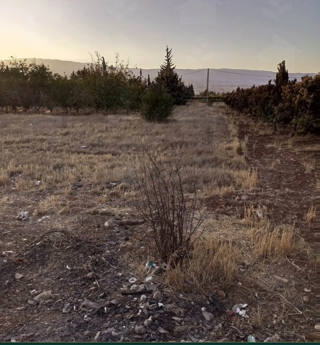 Three adjacent land plots on the Baalbeck highway, Safri, Bekaa — photo 5