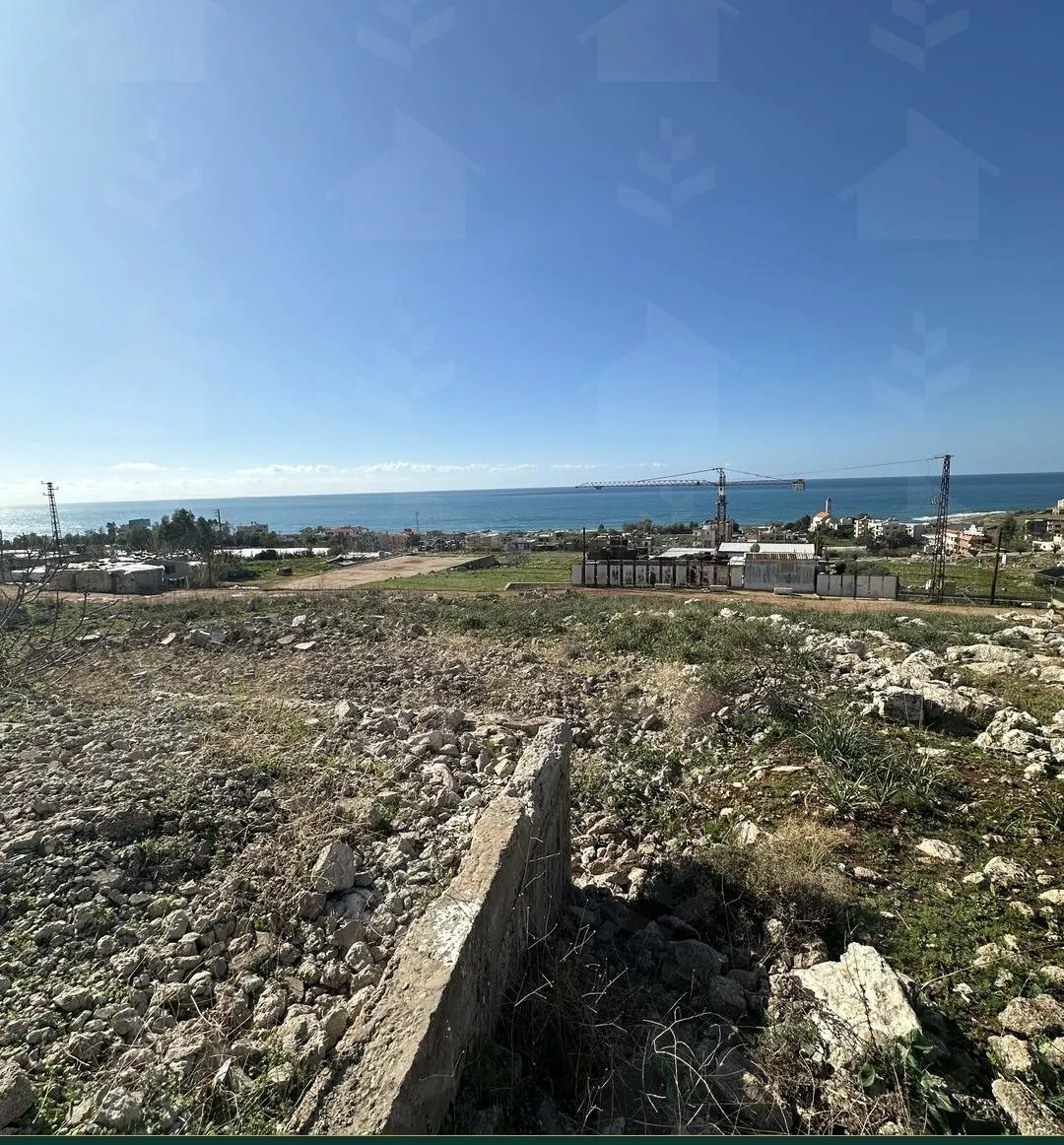 Two adjacent 926 m² sea-view land plots for sale in Jiye — photo 2