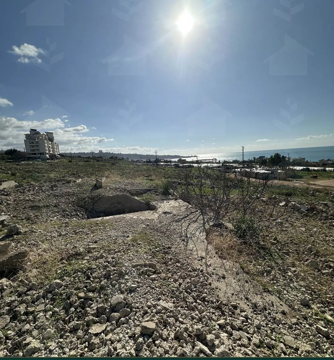 Two adjacent 926 m² sea-view land plots for sale in Jiye — photo 3