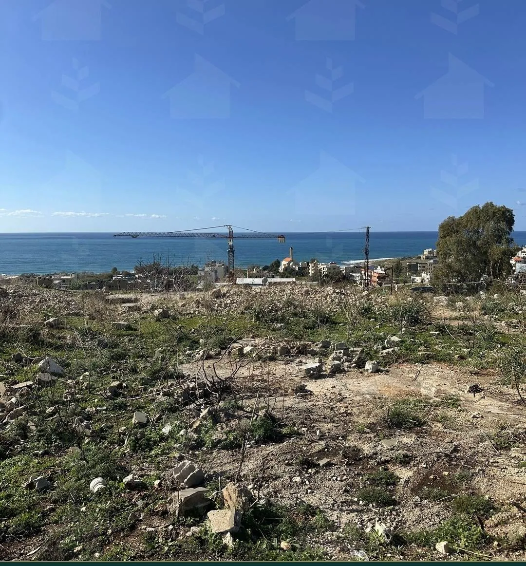 Two adjacent 926 m² sea-view land plots for sale in Jiye — photo 4