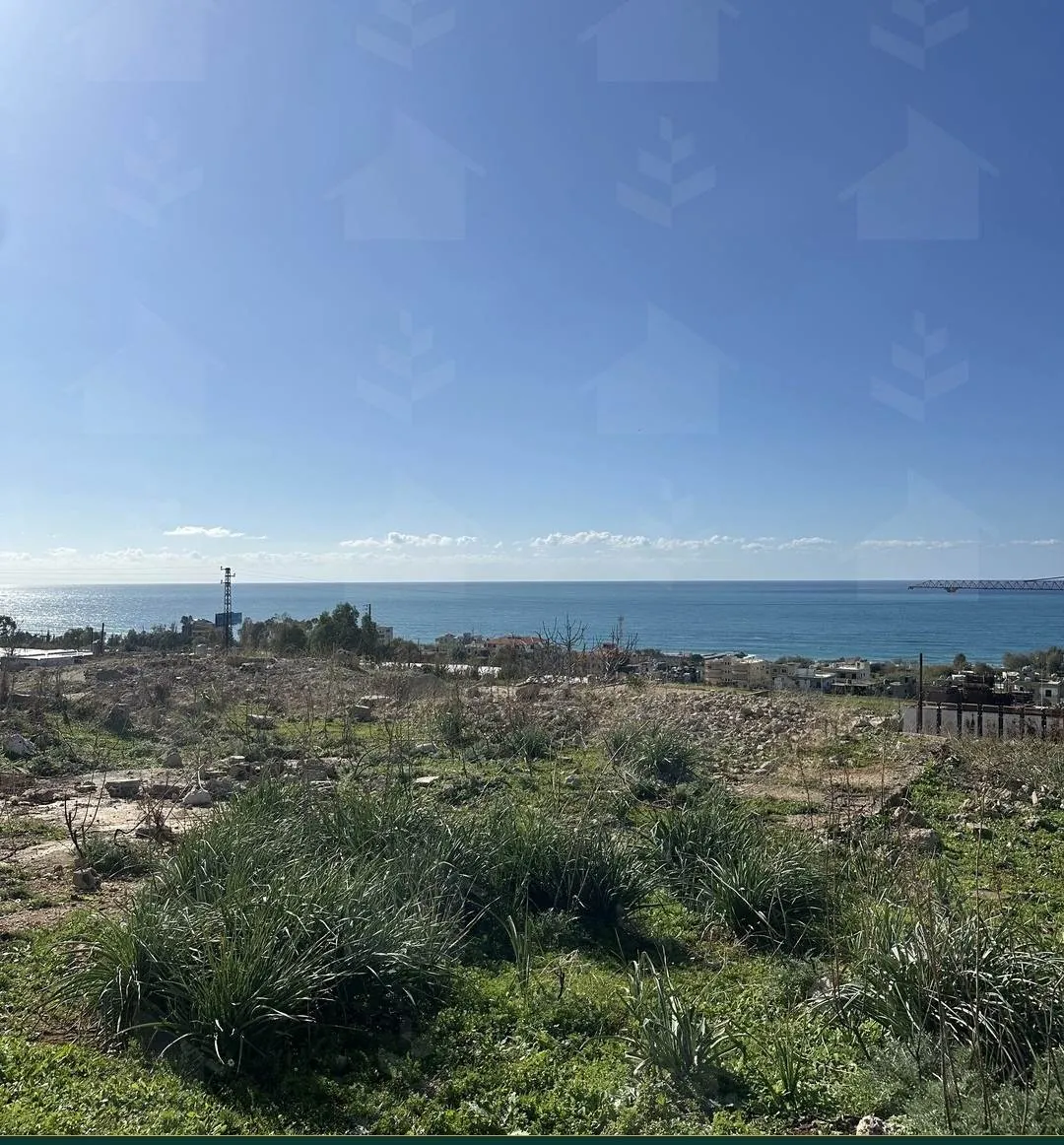 Two adjacent 926 m² sea-view land plots for sale in Jiye — photo 5