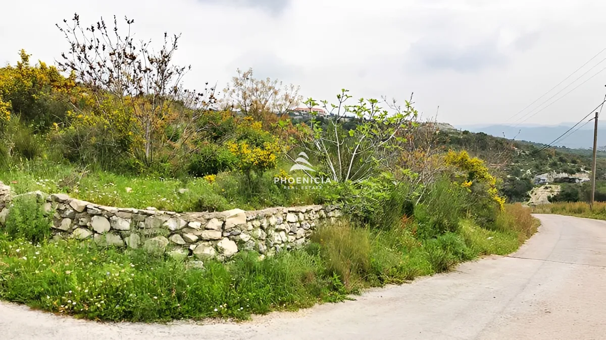 Land for Sale in Gharzouz — الصورة 4