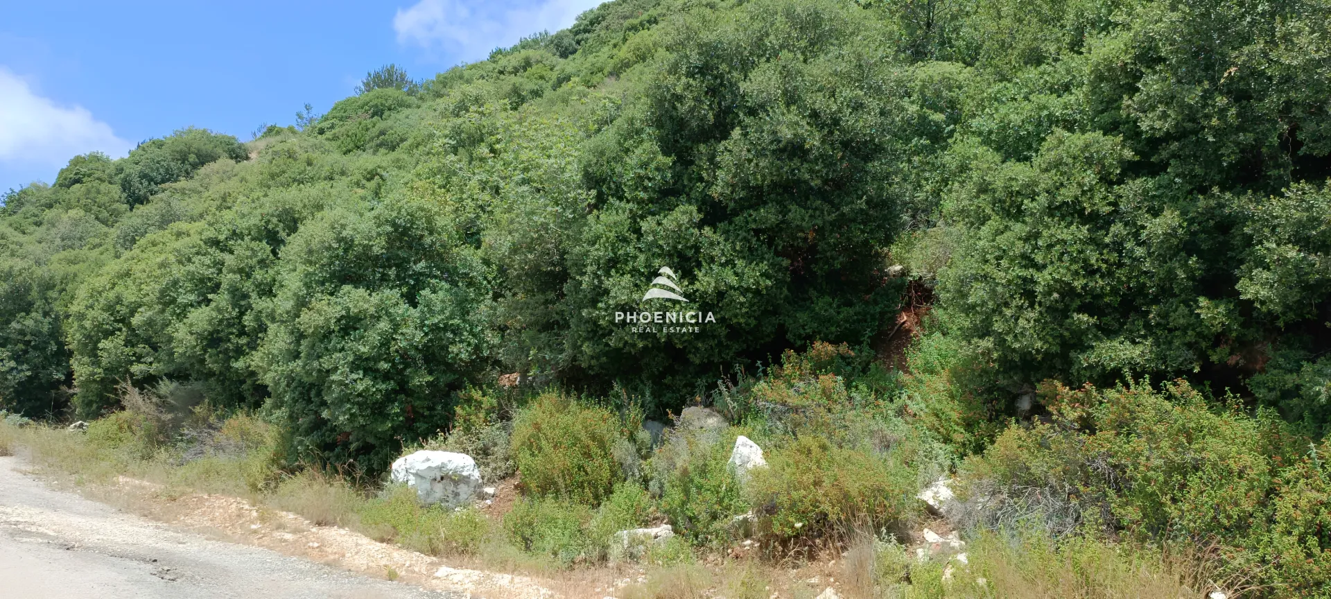 Land for Sale in Blat — الصورة 4