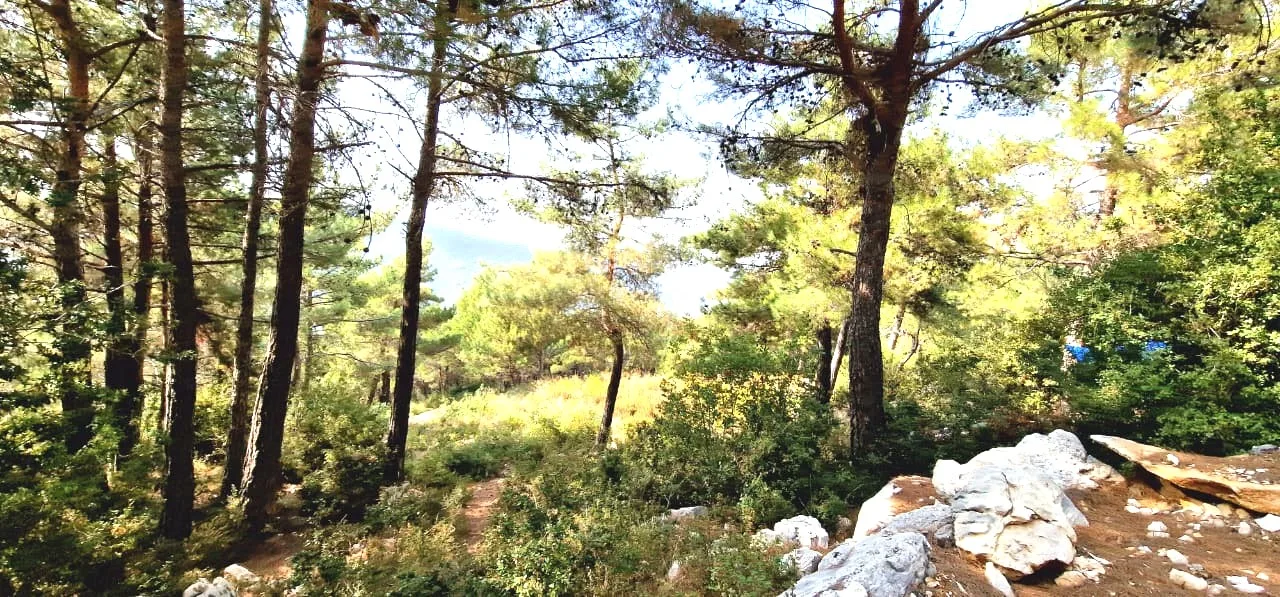 Land for Sale in Batroun, Lebanon — الصورة 7