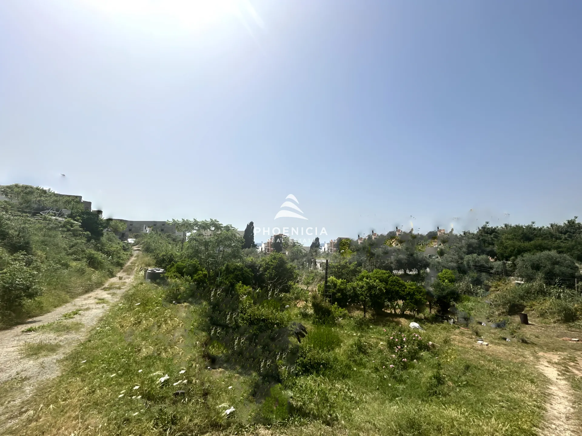 Land for Sale in Byblos — الصورة 4