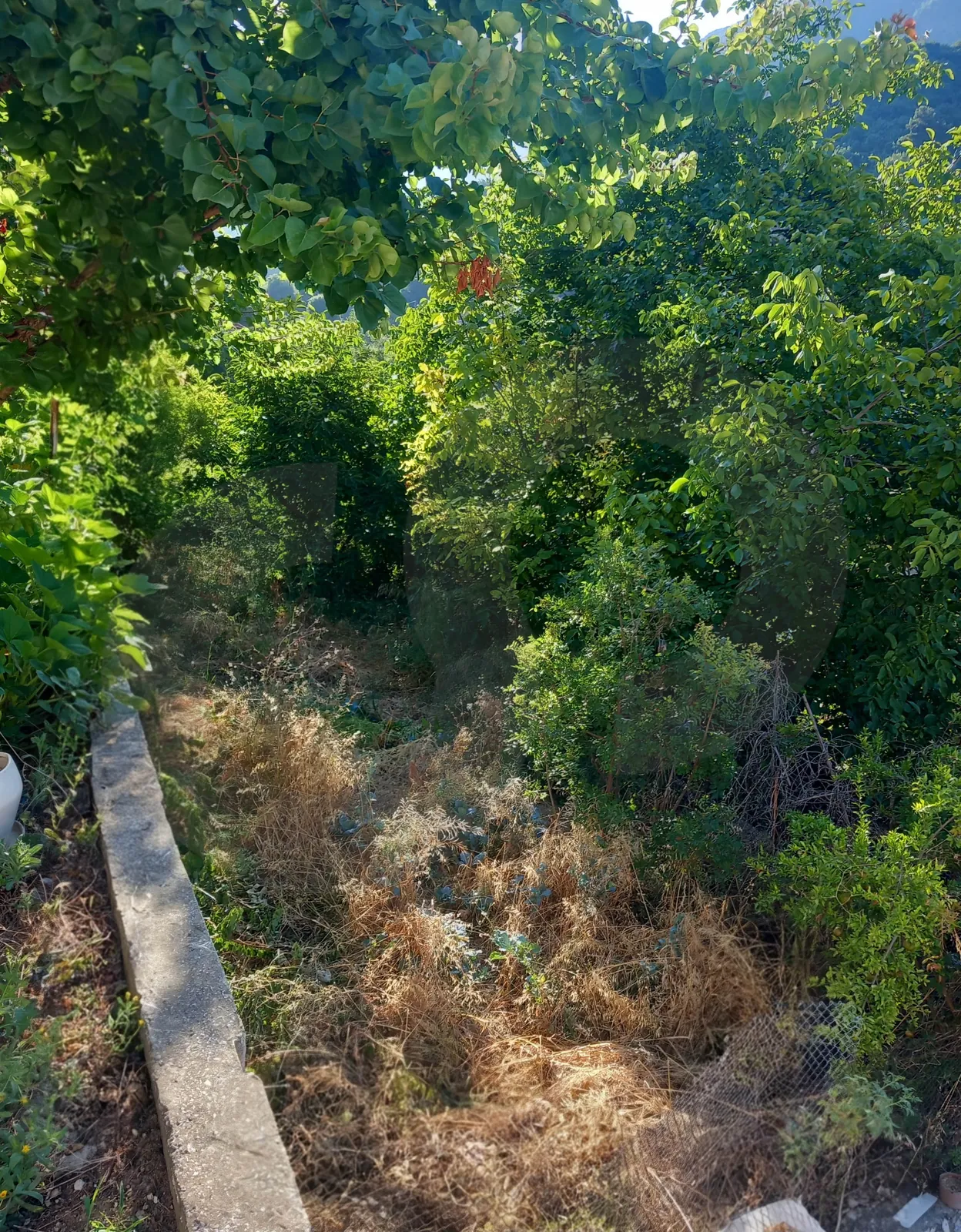Charming Standalone Mountain Home with Open Views/30 minutes from the Ghazir Highway/JDEIDET GHAZIR-KESEROUAN — الصورة 3