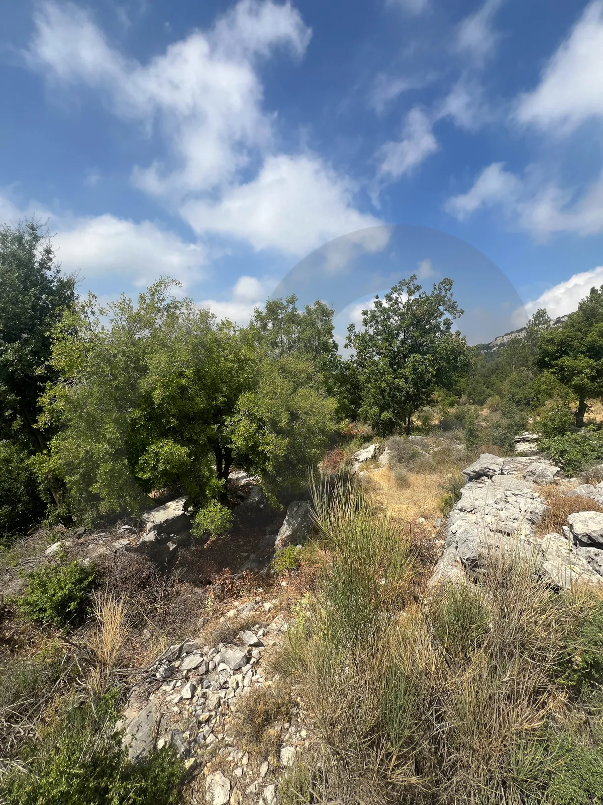 Land for Sale/ Easy road access/Strategic location/Mountain views/JAJ-JBEIL — الصورة 2