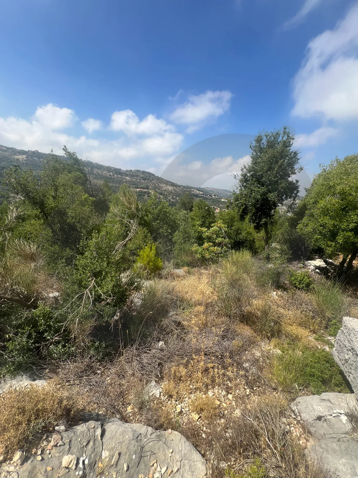 Land for Sale/ Easy road access/Strategic location/Mountain views/JAJ-JBEIL — الصورة 3