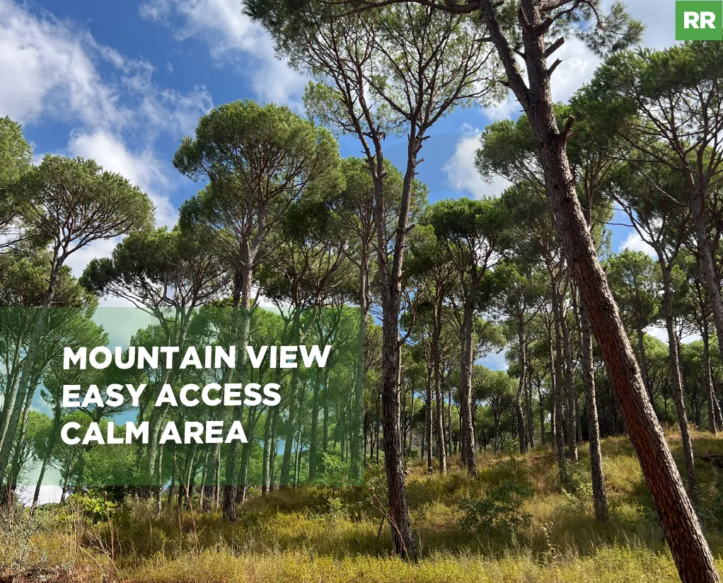 Land for Sale/Mountain view/Easy Access/Calm Area/SELFEYA-ALEY