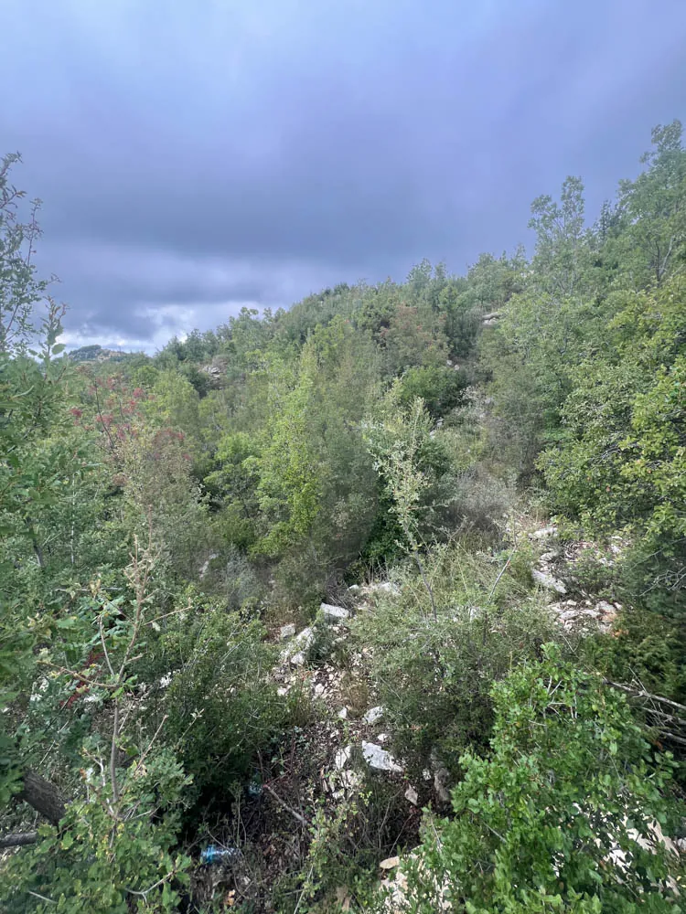 MOUNTAIN SANCTUARY/LAND/ hillside plot/panoramic views/MECHMECH,JBEIL — الصورة 2