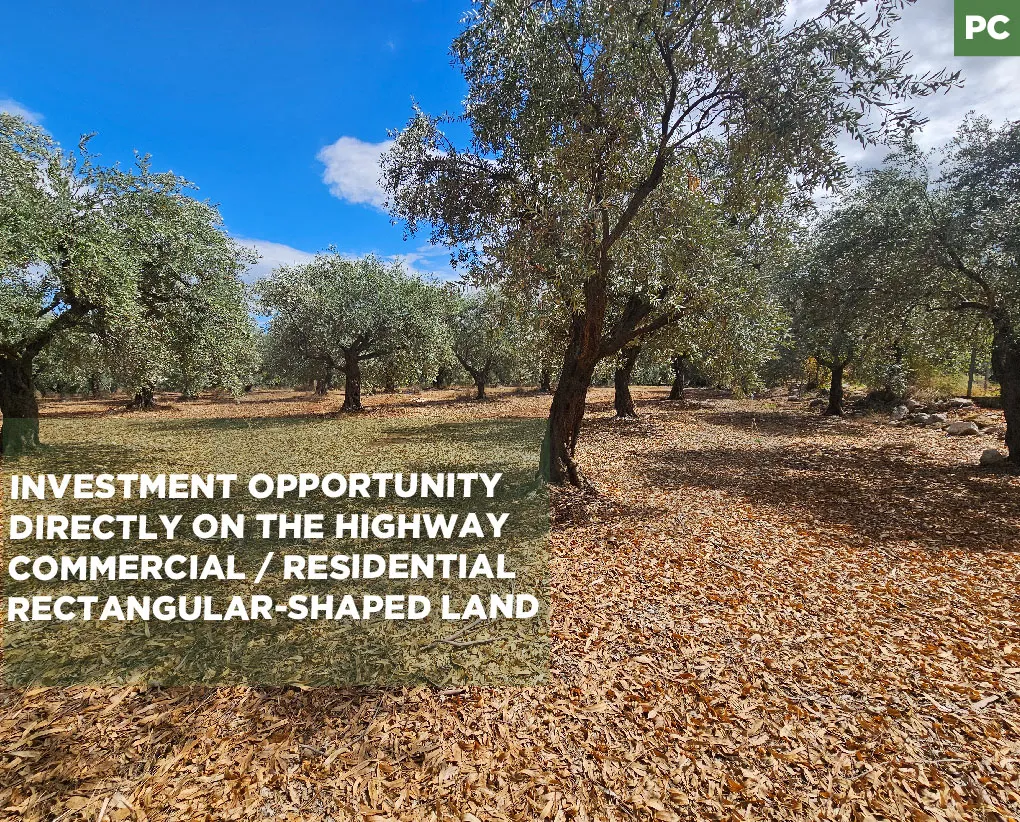 Prime Land/plot of olive trees/ rectangular layout/mountain view/ZGHARTA