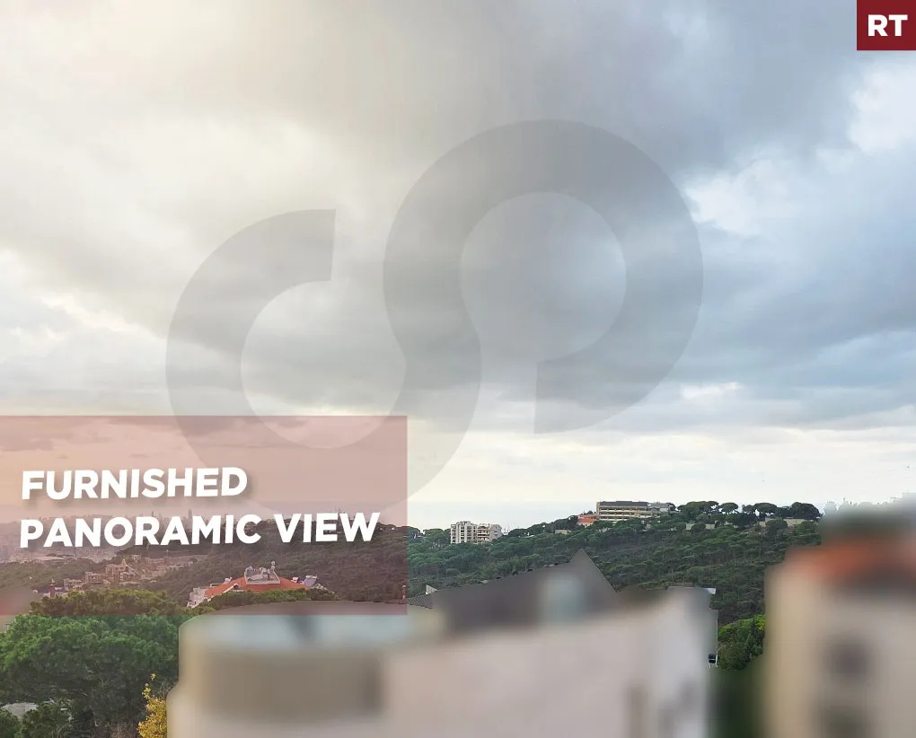 furnished duplex/ dead-end street/prime location/terrace/AIN SAADEH,METN