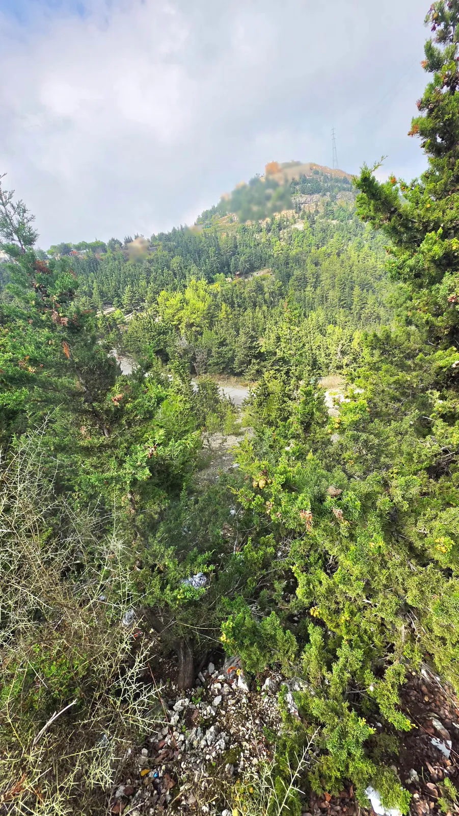 Land for Sale/Road Access/Mountain View/GHBELEH-KESEROUAN — photo 2