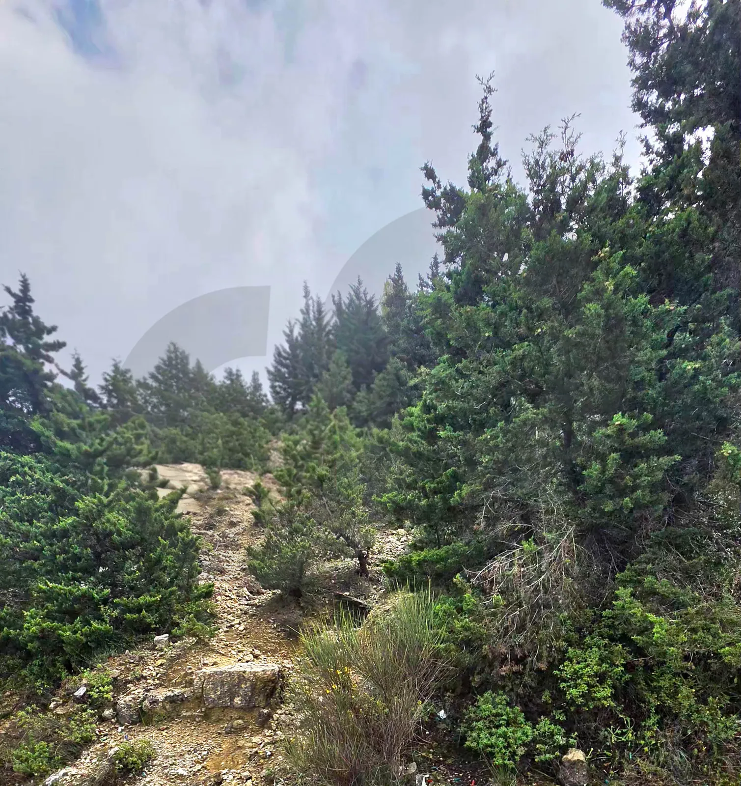 Land for Sale/Road Access/Mountain View/GHBELEH-KESEROUAN — photo 3