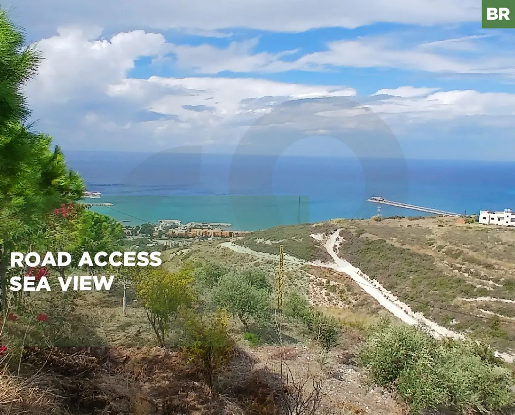Land for Sale /sea view/road access/olive trees/Kefraya, Koura