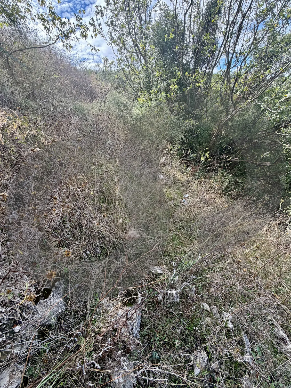 RESIDENTIAL LAND/30/75 Zoning/KFOUR,KESEROUAN /Private road — photo 2