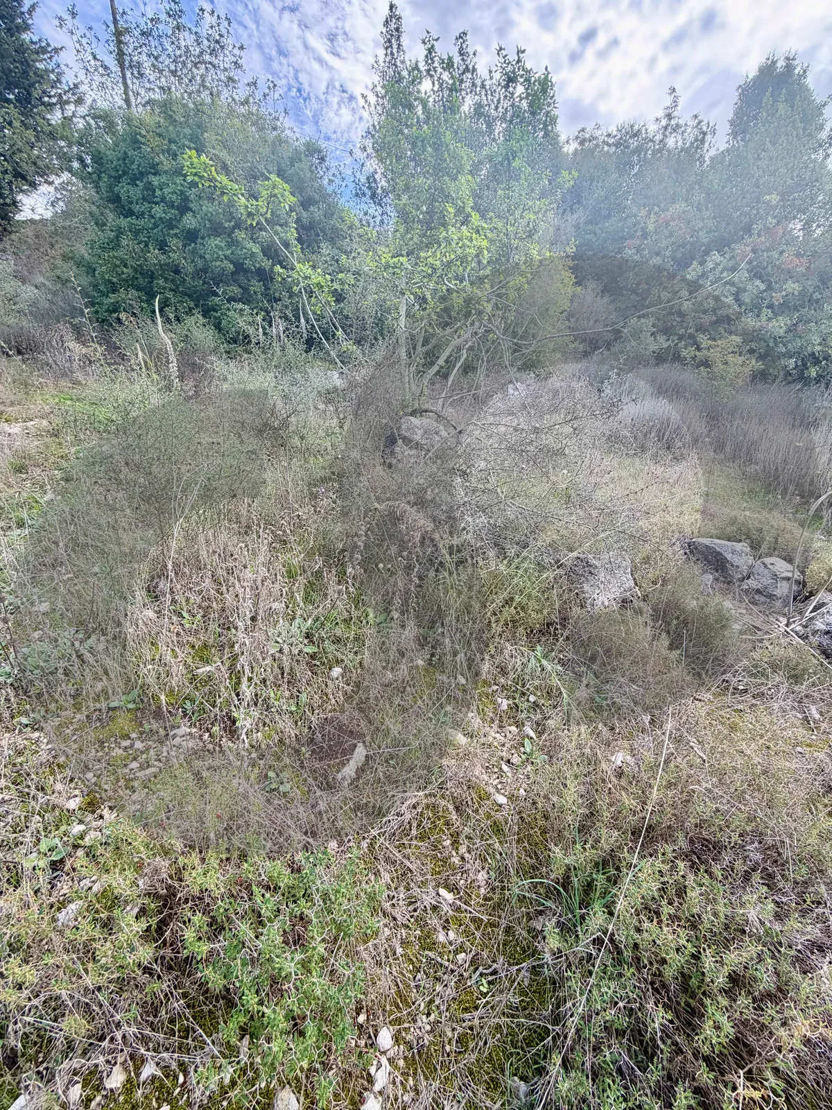 RESIDENTIAL LAND/30/75 Zoning/KFOUR,KESEROUAN /Private road — photo 3
