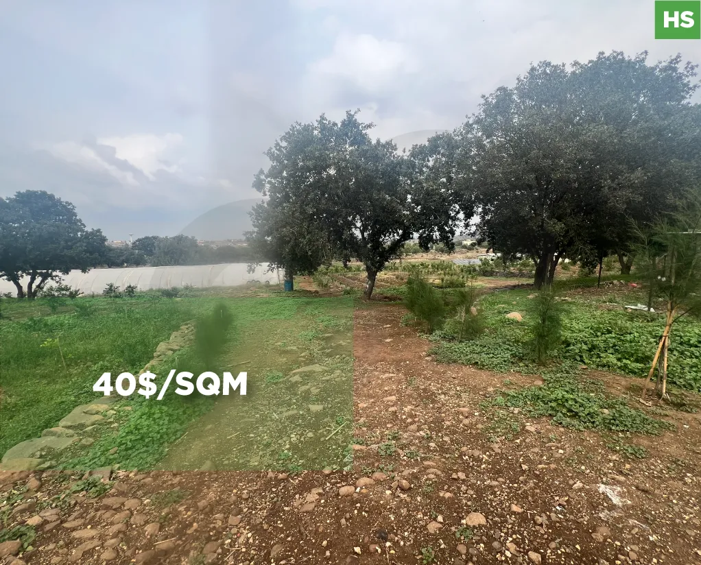 Land for sale/Excellent investment opportunity/CHARBILA-AKKAR
