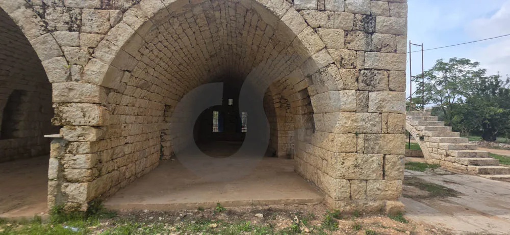 old house/Traditional/ private garden/relaxing location/BESHMEZZINE, KOURA — الصورة 2