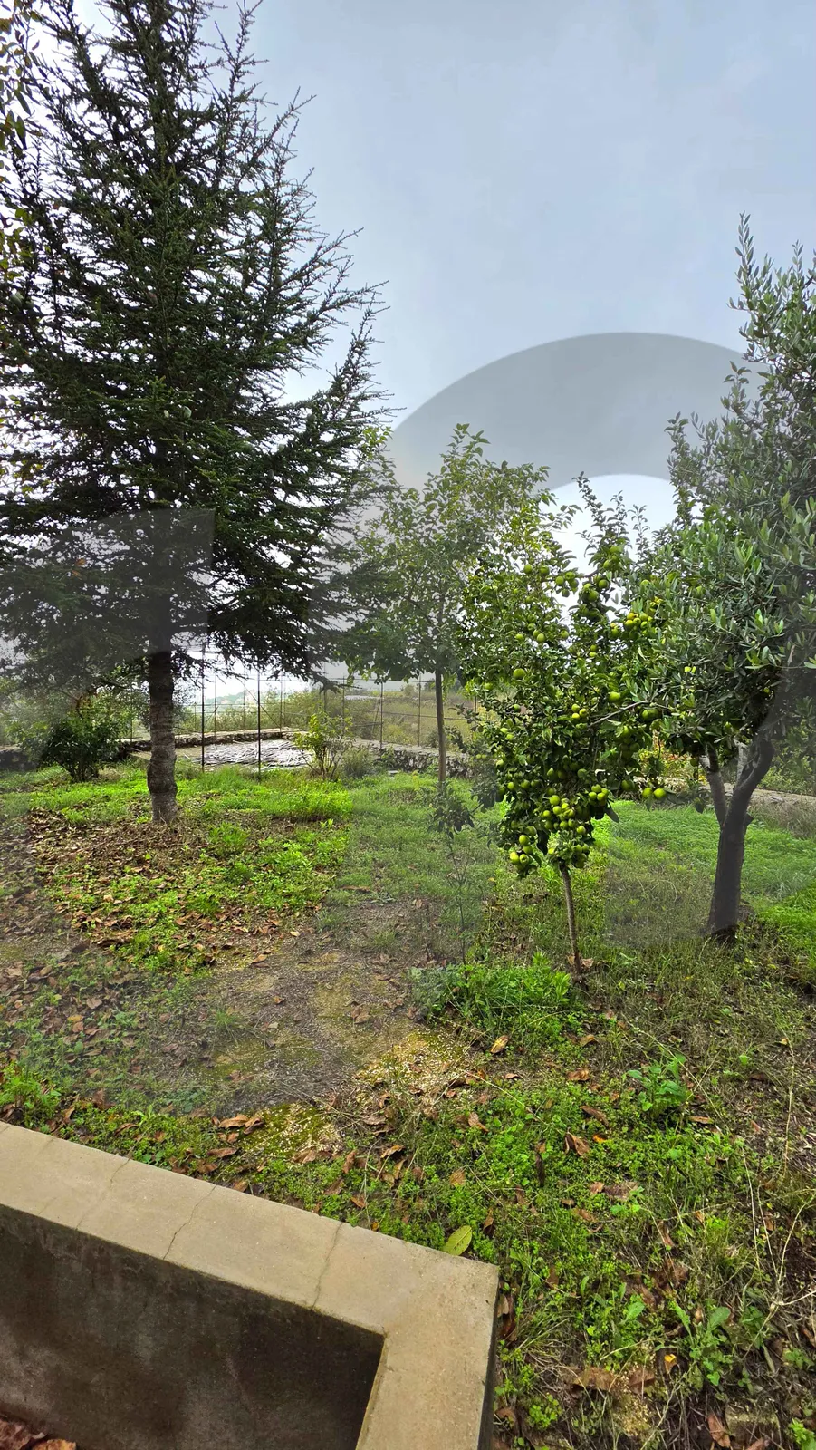LAND WITH STAND-ALONE BUILDING/GHINEH,KESEROUAN /GARDEN/OPEN VIEWS — photo 2