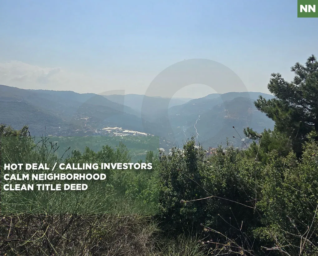 Prime Land/ Hot Deal/Calling Investors/mountain view/Ras L Jabal,ALEY