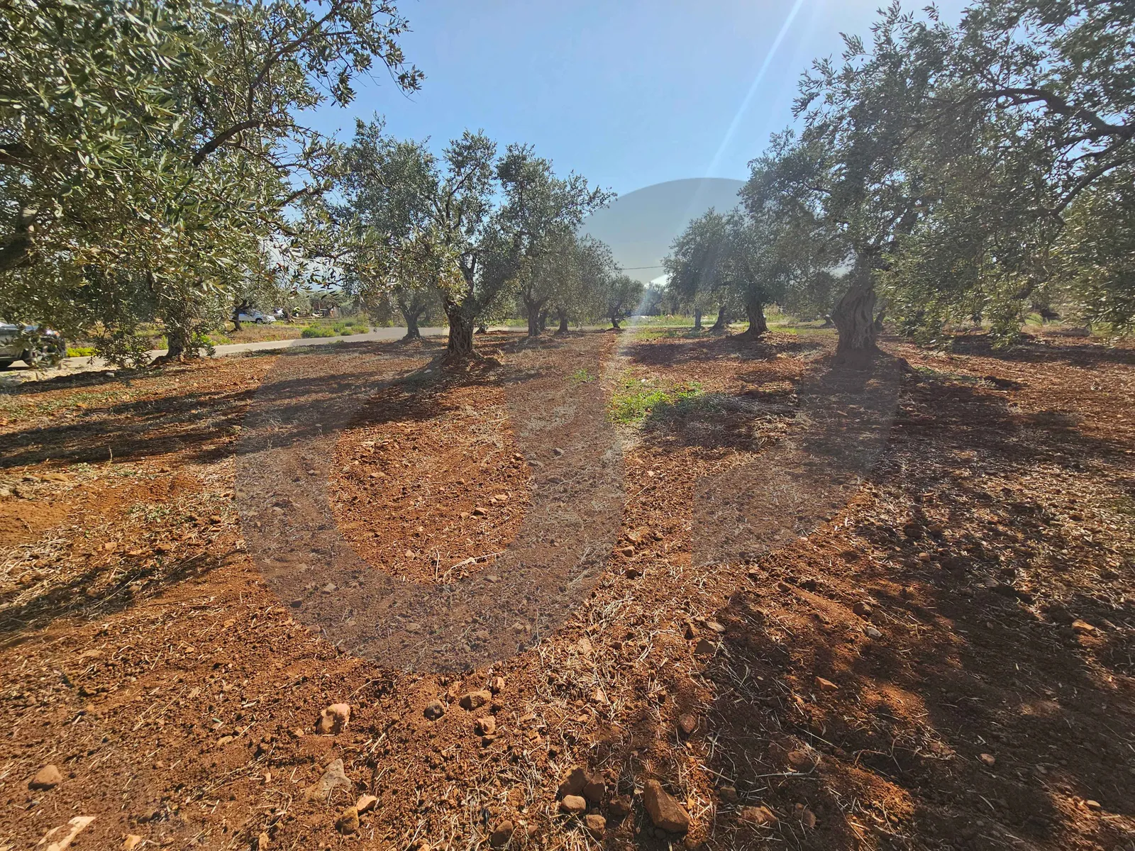 PRIME LAND FOR SALE IN KFARHAWRA,ZGHARTA /MAIN ROAD ACCESS — photo 2