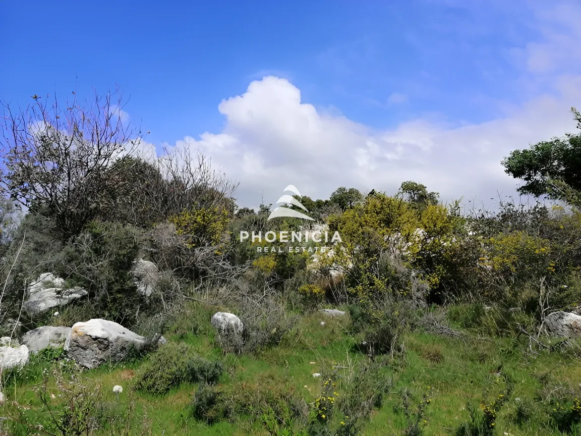 Land for sale in Chikhane, Jbeil, Lebanon — الصورة 12