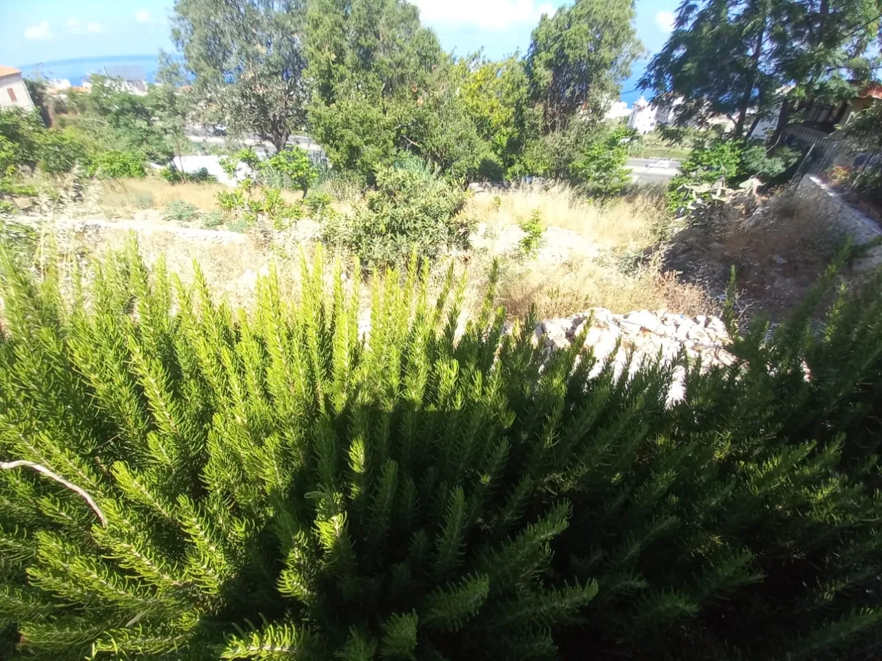 Land for Sale in Jebrayel, Lebanon — الصورة 3