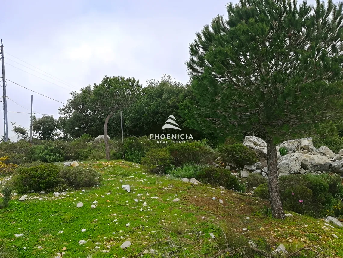 Land for Sale in Blat — الصورة 11