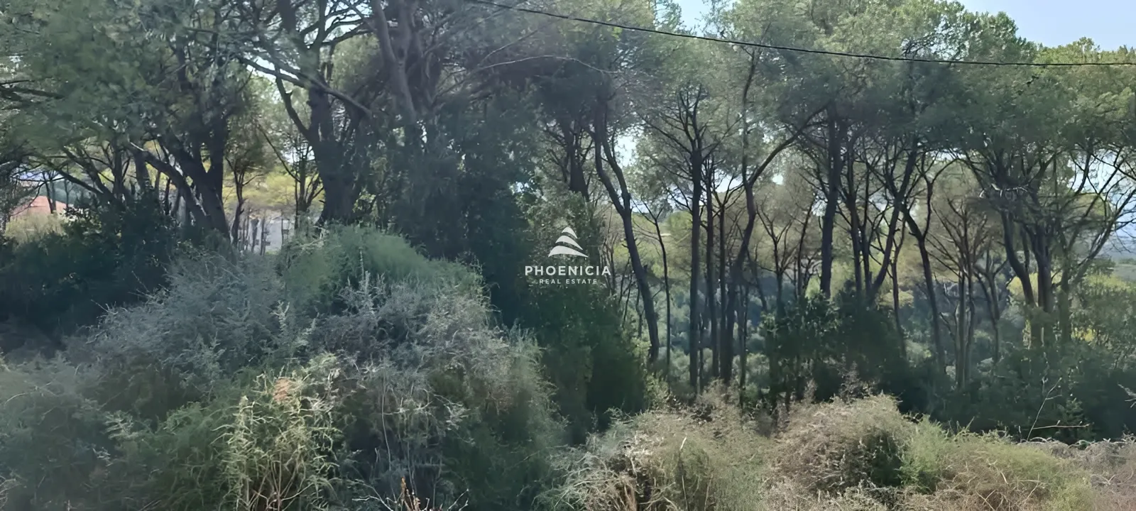 Land for Sale in Gharzouz — الصورة 6