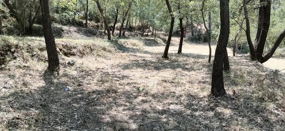 Land for Sale in Bzebdine, Lebanon — الصورة 7
