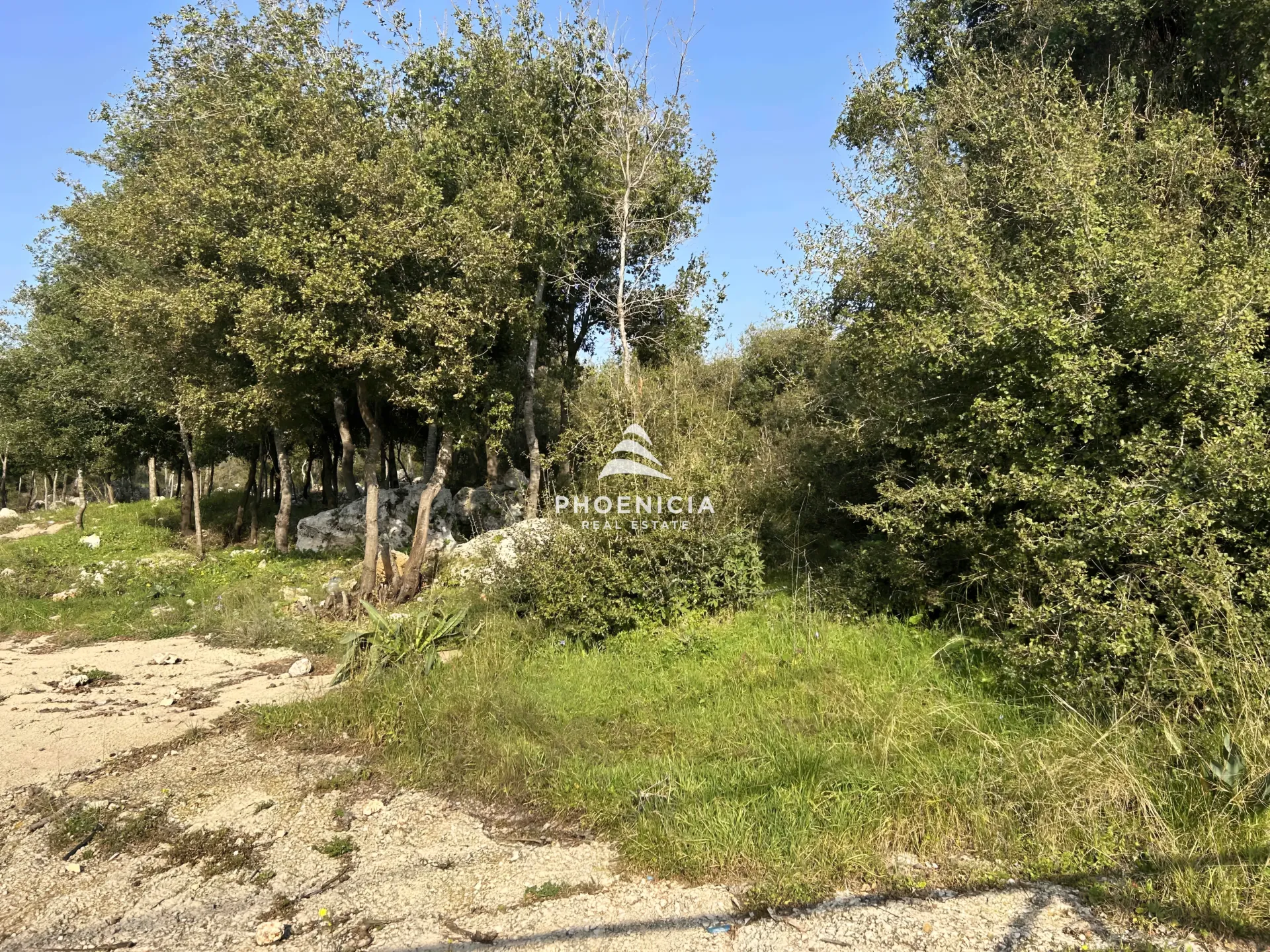 Land for Sale in Bouar, Lebanon — الصورة 3