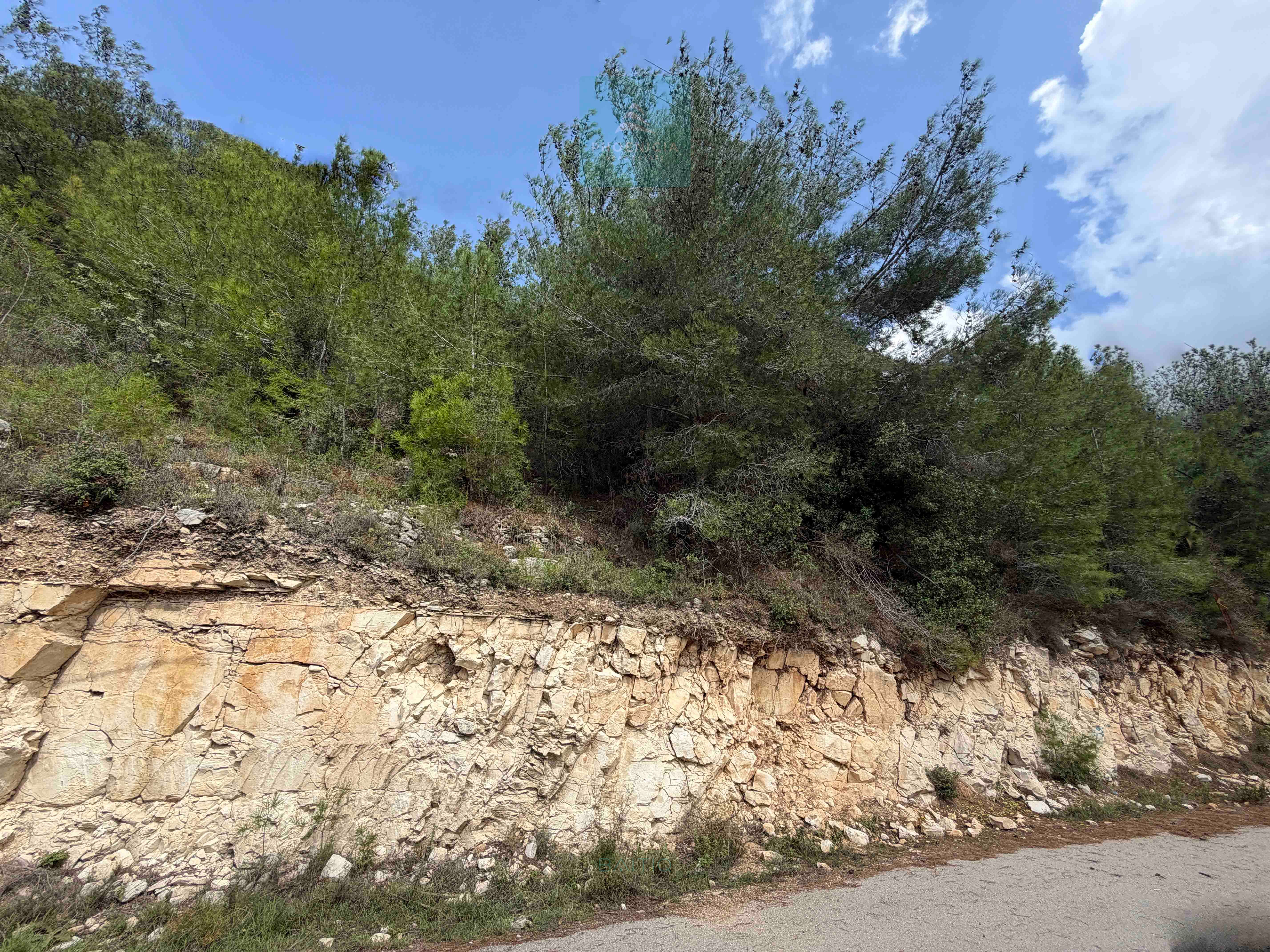 Land For Sale In Maaysrah | Open View | أرض للبيع — الصورة 2