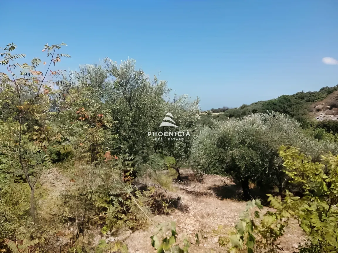 Land for Sale in Monsef — الصورة 14