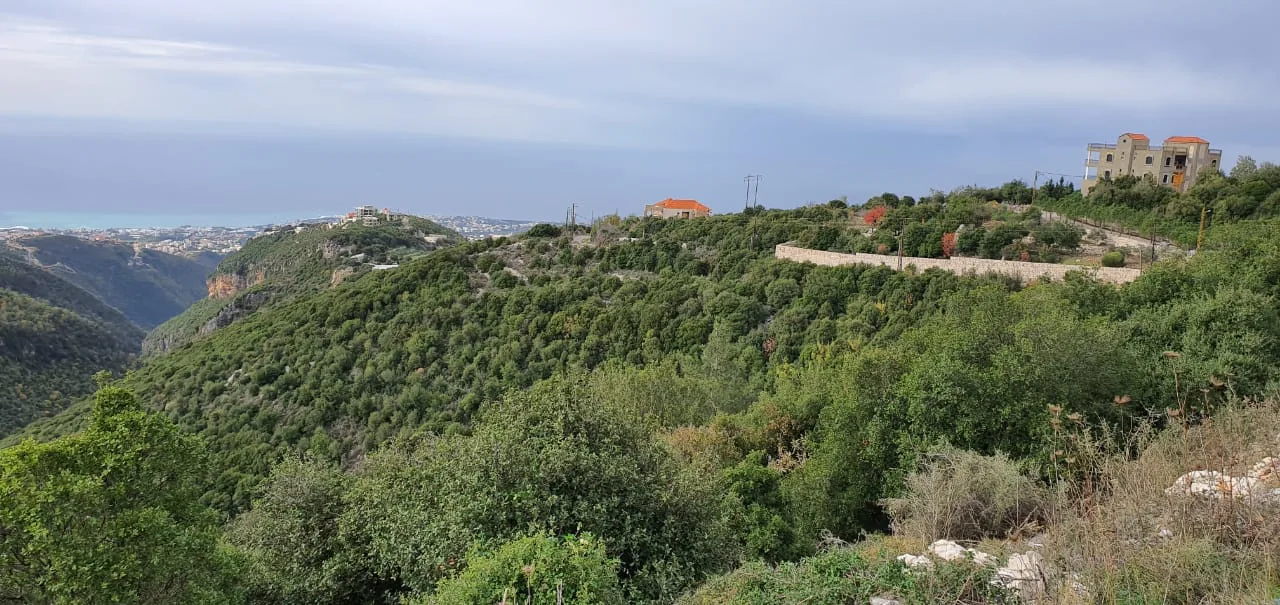 Land for Sale in Byblos, Lebanon — الصورة 3