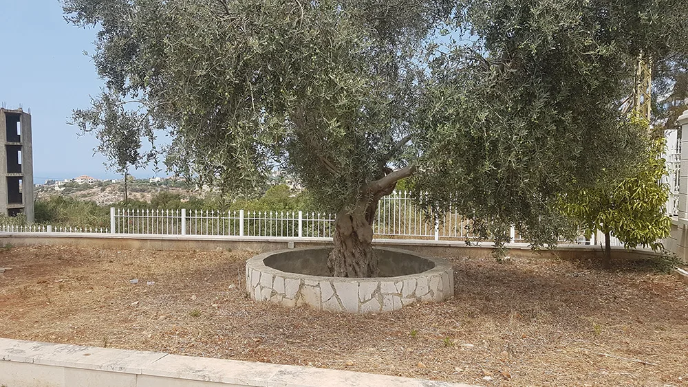 Villa for Sale in Gharfine — الصورة 6
