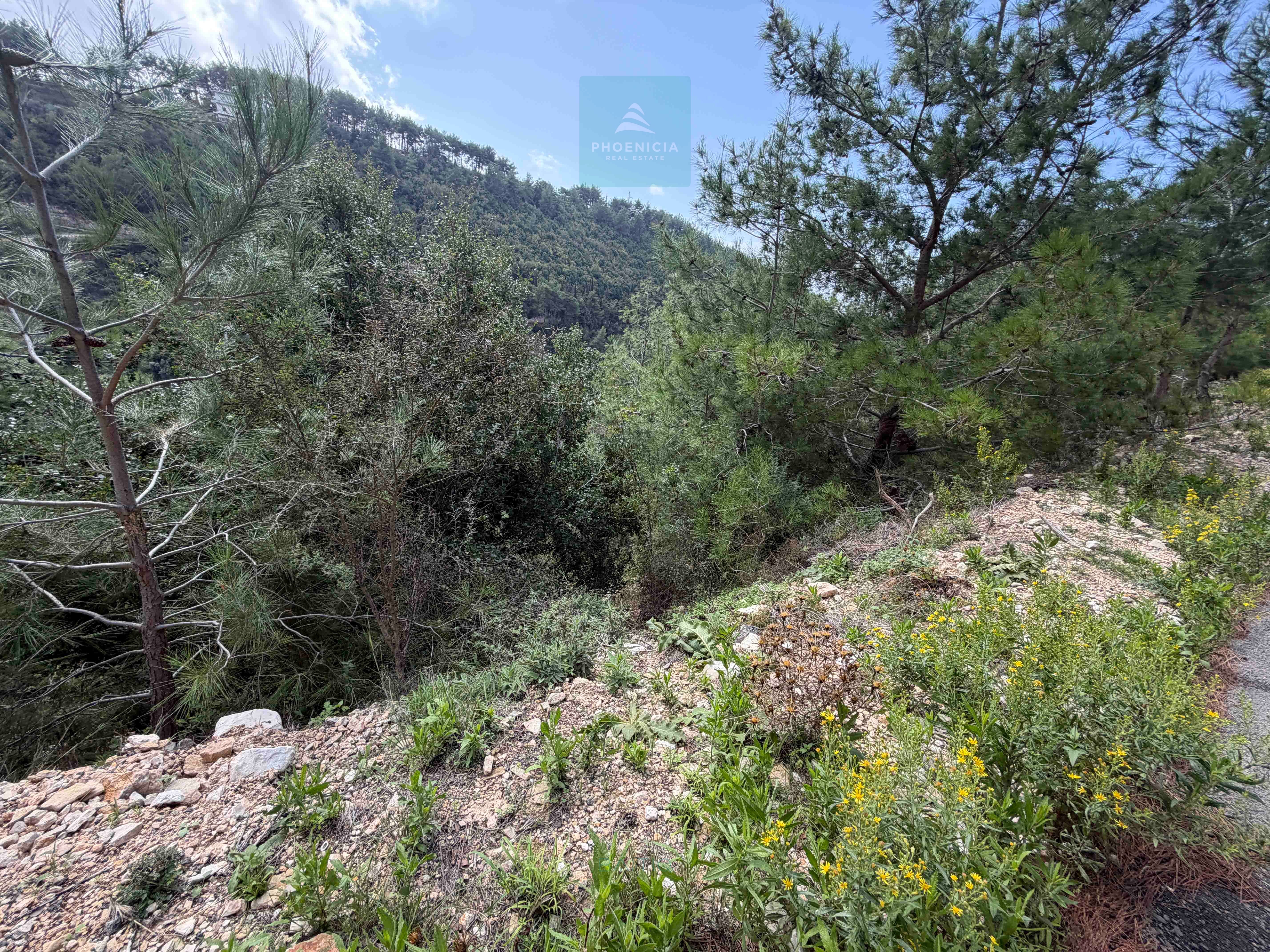 Land For Sale In Maaysrah | Open View | أرض للبيع — الصورة 6