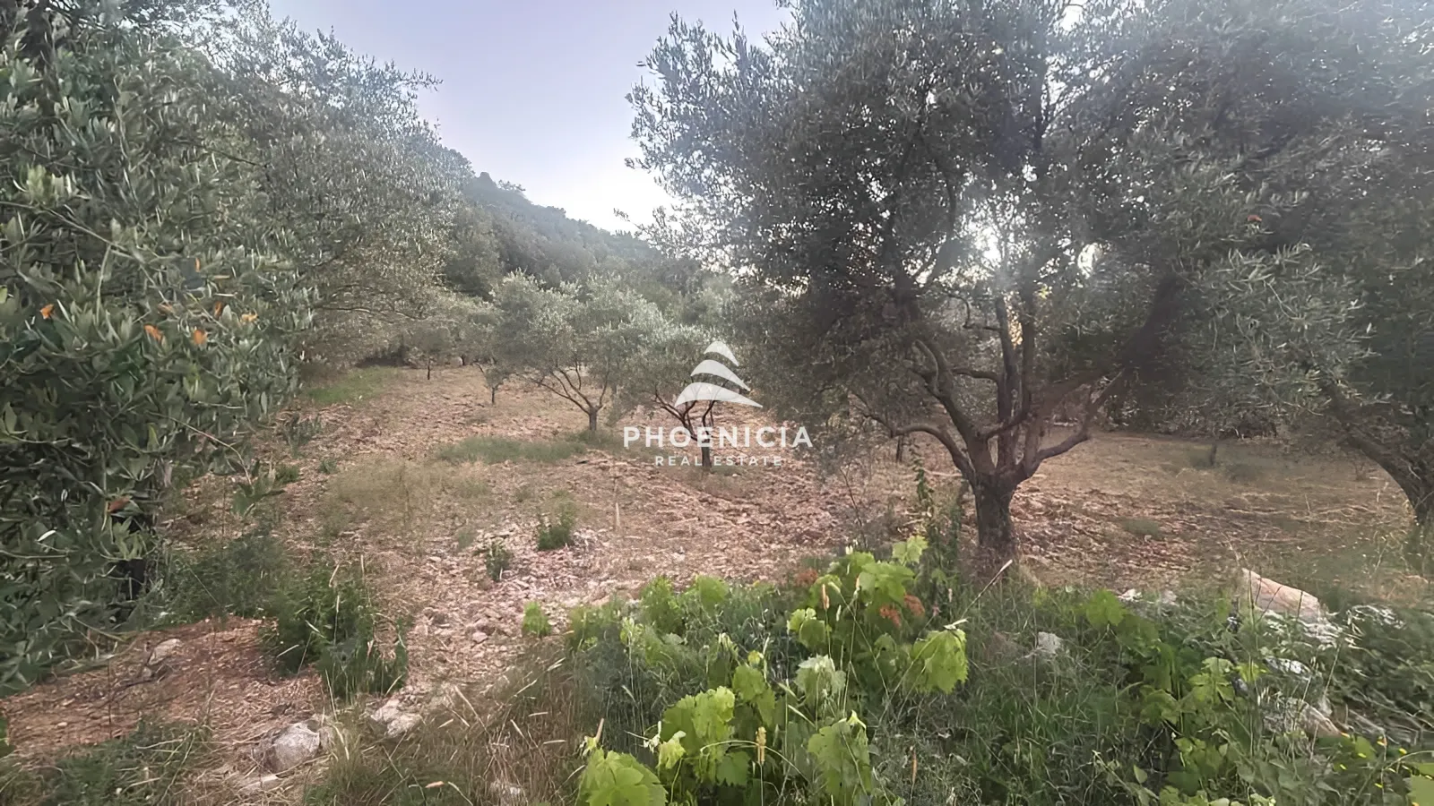 Residential Land for sale in Lehfed, Jbeil, Lebanon — الصورة 2