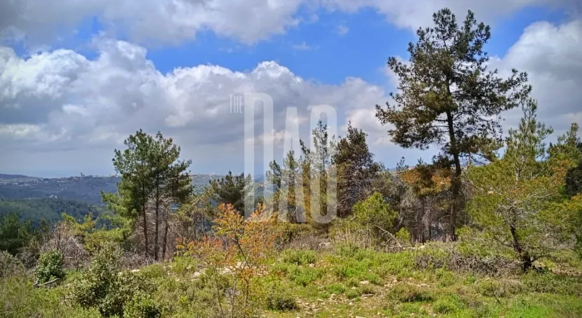 Land for sale in Mazraat al chouf 25000 Sqm