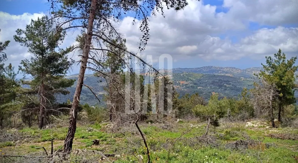 Land for sale in Mazraat al chouf 25000 Sqm — الصورة 3